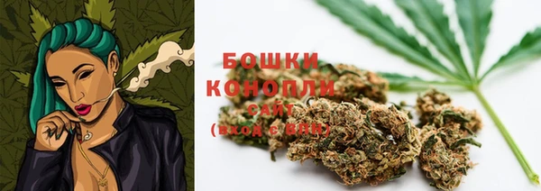 гидра Сафоново