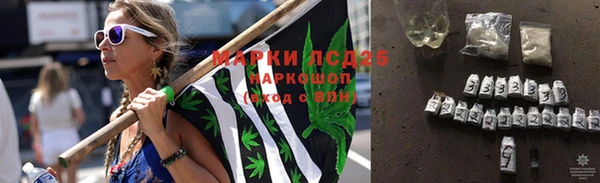 стафф Сатка
