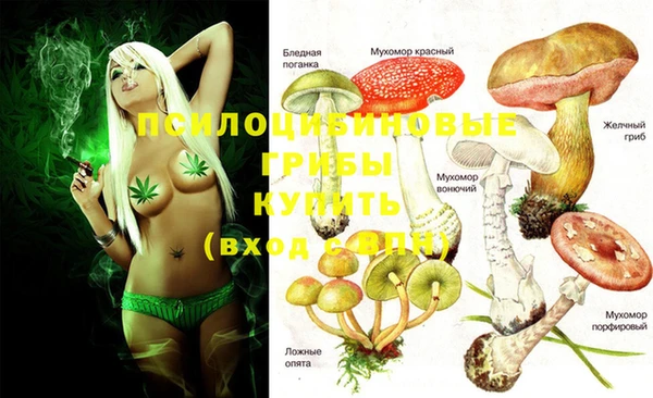 стафф Сатка