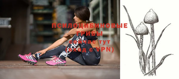 гидра Сафоново