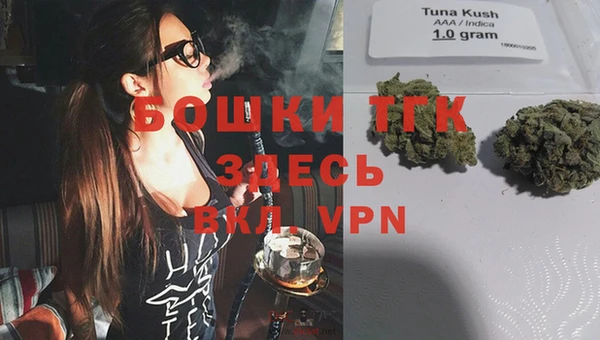 гидра Сафоново