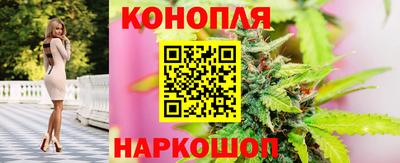 ешки Дубна