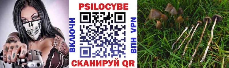 Псилоцибиновые грибы прущие грибы  закладки  Муром 